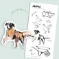 Preview: Bemalbare-Sticker Hund