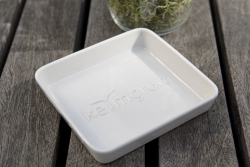keimglas sprossenglas ohne Plastik