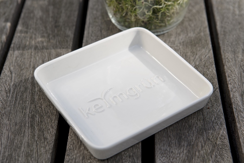 keimglas sprossenglas ohne Plastik